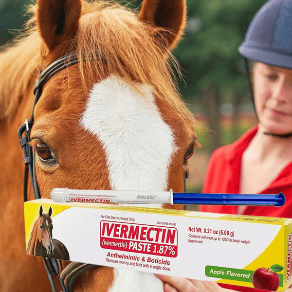 🔥Hot Sale 49% OFF - Ivermectin Horse Paste 1.87% 6.08g Tubes